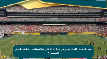عدد الحضور الجماهيري في مباراة الأهلي وبالميراس.. ما هو الرقم الرسمي؟